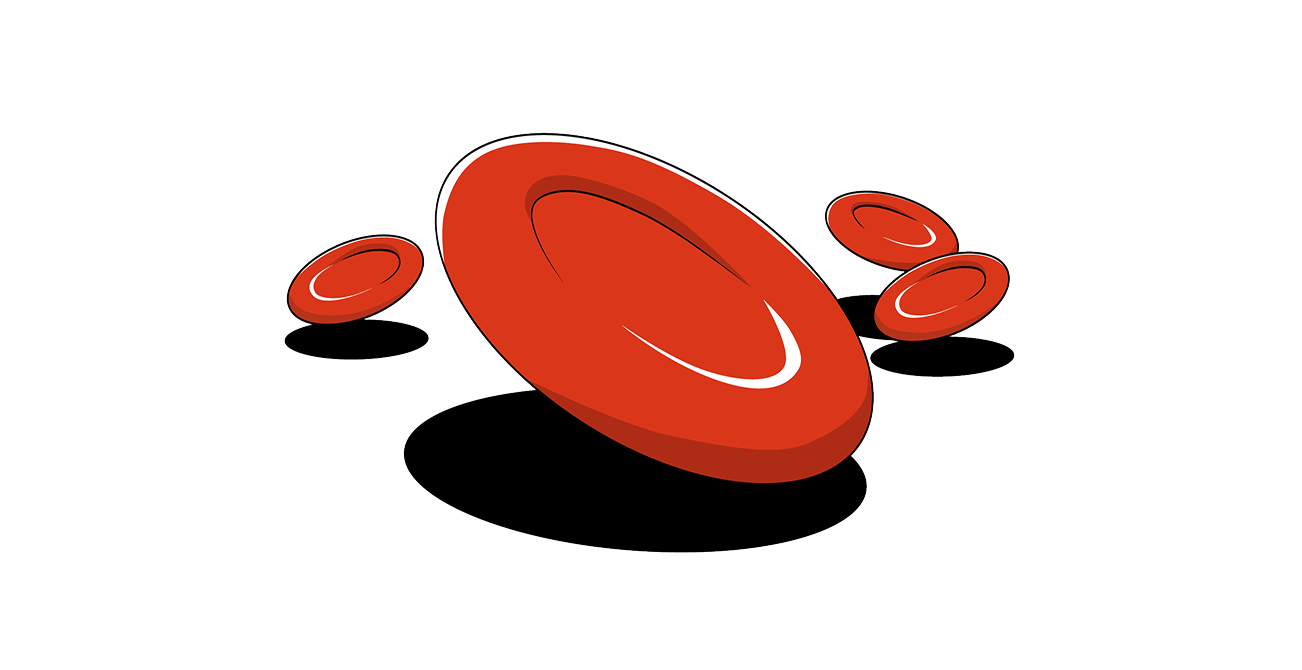 CD59 layer disappears outside of red blood cell